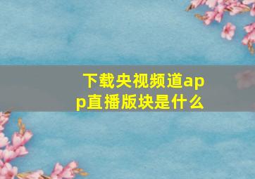 下载央视频道app直播版块是什么