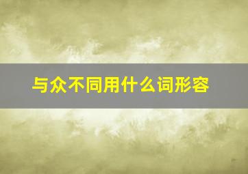 与众不同用什么词形容