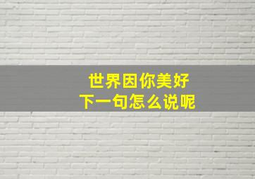 世界因你美好下一句怎么说呢