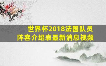 世界杯2018法国队员阵容介绍表最新消息视频