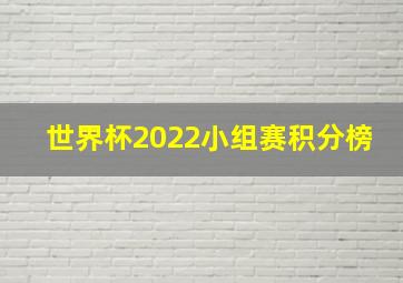 世界杯2022小组赛积分榜