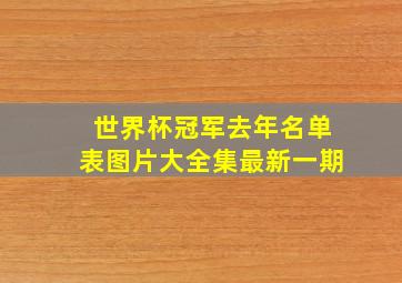 世界杯冠军去年名单表图片大全集最新一期