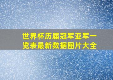 世界杯历届冠军亚军一览表最新数据图片大全