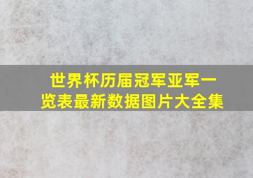 世界杯历届冠军亚军一览表最新数据图片大全集