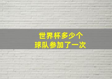 世界杯多少个球队参加了一次