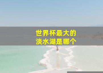 世界杯最大的淡水湖是哪个