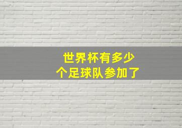 世界杯有多少个足球队参加了