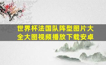 世界杯法国队阵型图片大全大图视频播放下载安卓