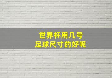 世界杯用几号足球尺寸的好呢