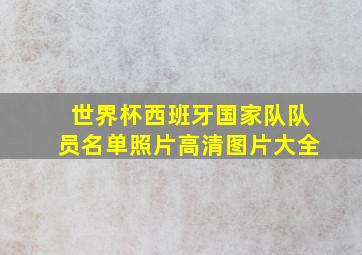 世界杯西班牙国家队队员名单照片高清图片大全