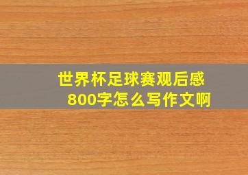 世界杯足球赛观后感800字怎么写作文啊