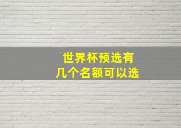 世界杯预选有几个名额可以选