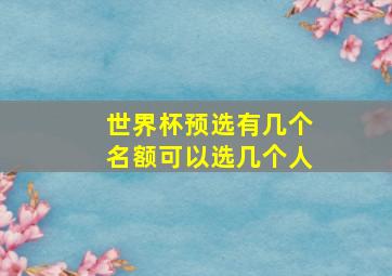 世界杯预选有几个名额可以选几个人