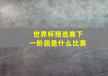 世界杯预选赛下一阶段是什么比赛