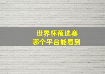 世界杯预选赛哪个平台能看到