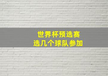 世界杯预选赛选几个球队参加