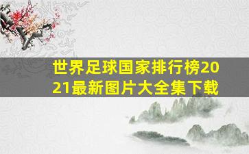 世界足球国家排行榜2021最新图片大全集下载