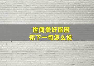 世间美好皆因你下一句怎么说