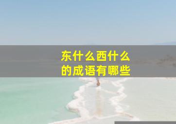 东什么西什么的成语有哪些