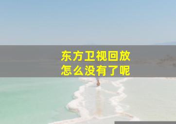 东方卫视回放怎么没有了呢