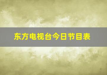 东方电视台今日节目表