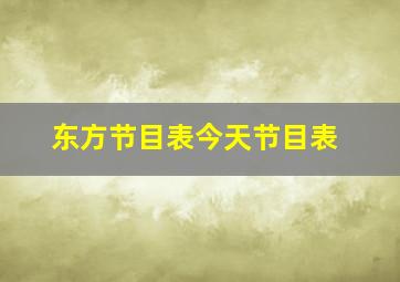 东方节目表今天节目表