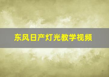 东风日产灯光教学视频