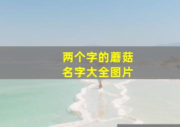 两个字的蘑菇名字大全图片