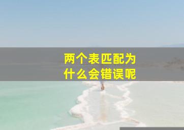 两个表匹配为什么会错误呢