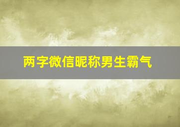 两字微信昵称男生霸气