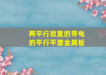 两平行放置的带电的平行平面金属板