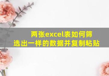 两张excel表如何筛选出一样的数据并复制粘贴