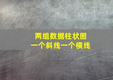 两组数据柱状图一个斜线一个横线