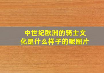 中世纪欧洲的骑士文化是什么样子的呢图片