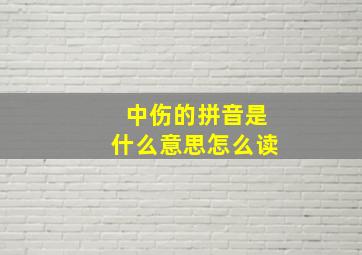 中伤的拼音是什么意思怎么读