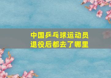 中国乒乓球运动员退役后都去了哪里