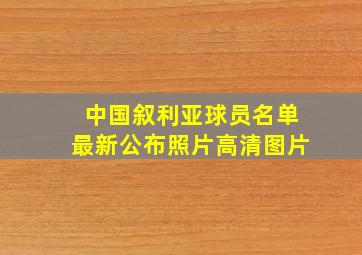 中国叙利亚球员名单最新公布照片高清图片