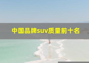 中国品牌suv质量前十名