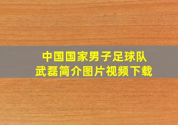 中国国家男子足球队武磊简介图片视频下载