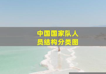 中国国家队人员结构分类图