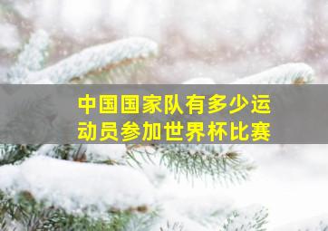 中国国家队有多少运动员参加世界杯比赛