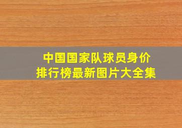 中国国家队球员身价排行榜最新图片大全集