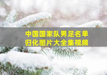 中国国家队男足名单归化图片大全集视频