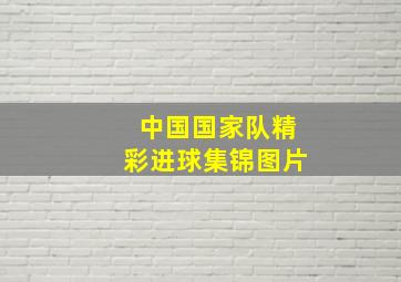 中国国家队精彩进球集锦图片