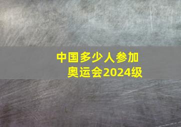 中国多少人参加奥运会2024级