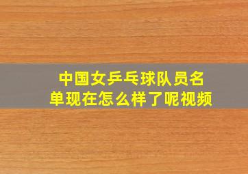 中国女乒乓球队员名单现在怎么样了呢视频