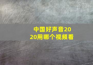 中国好声音2020用哪个视频看