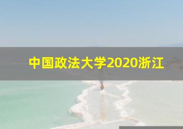 中国政法大学2020浙江