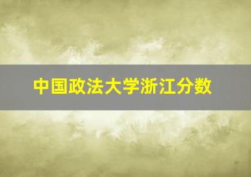 中国政法大学浙江分数