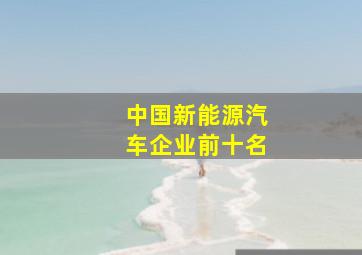 中国新能源汽车企业前十名